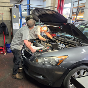 WrenchTree Automotive Repair